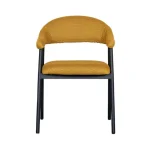 eetkamerstoel-amaze-per-2-stuk-hMSDddLB-0.webp