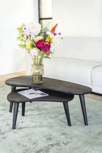 Online HUUS Salontafelset Guus