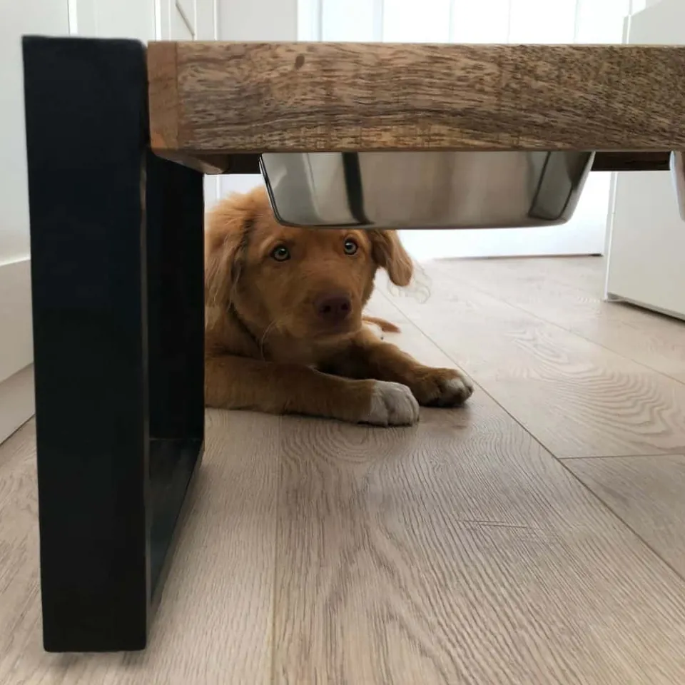 voerbakje-dier-oxGJbOEU-6.webp Hot HUUS Voerbakje Dier